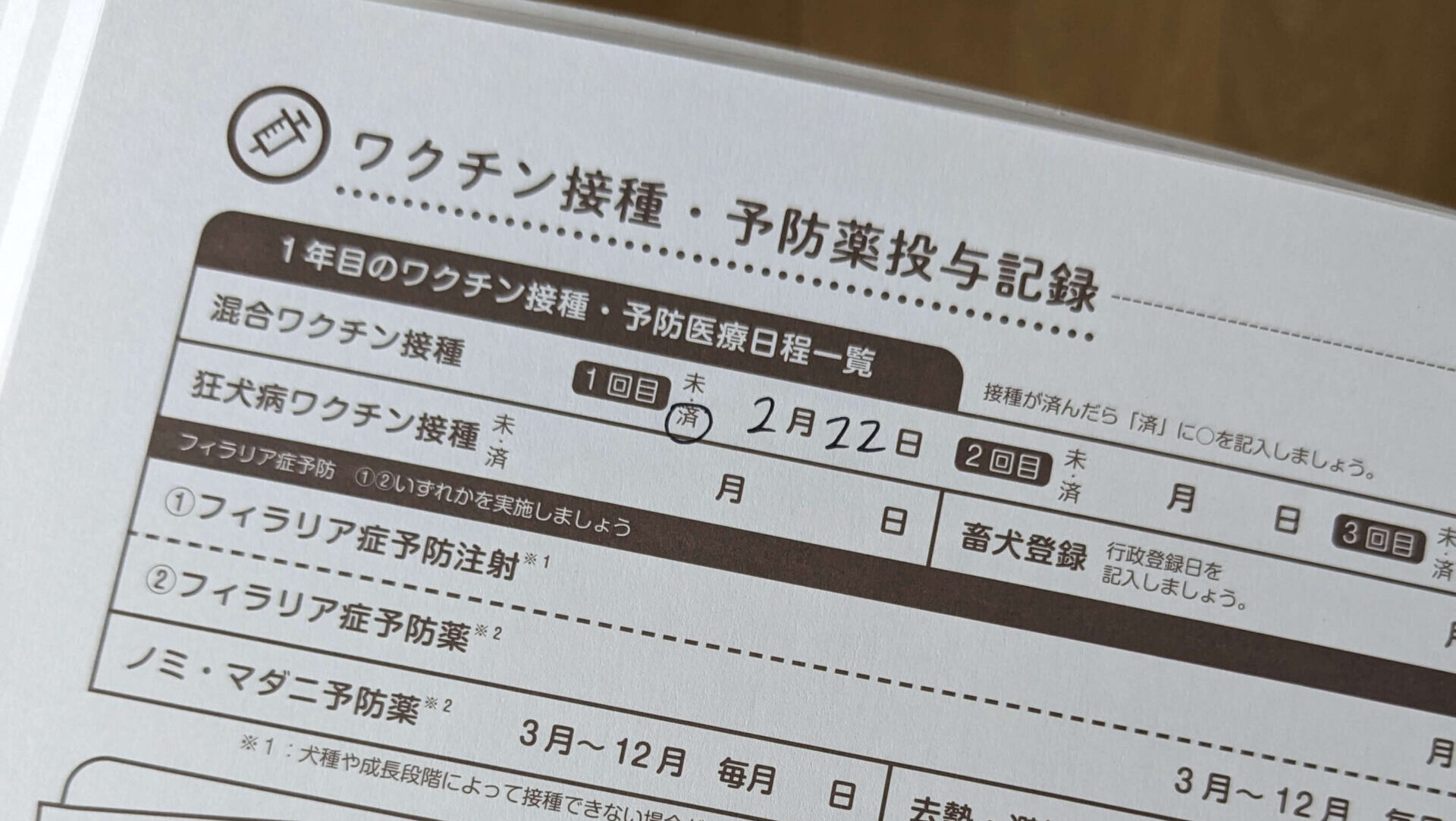 【チワックス】初めての動物病院でワクチン接種と健康診断を受けました